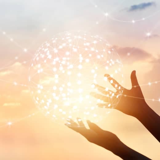 Management Principles